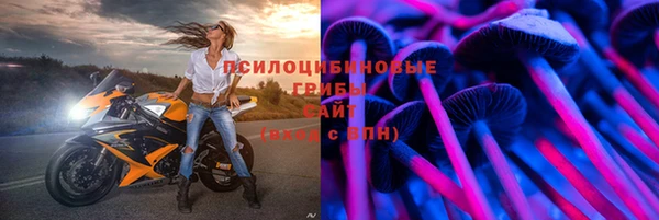 спиды Алзамай