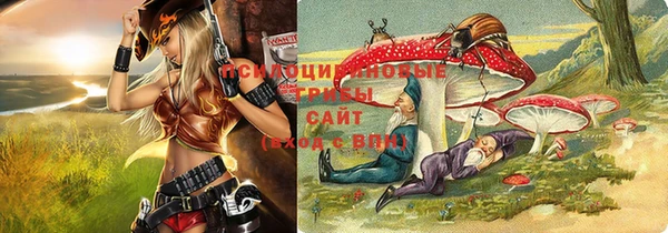 a pvp Алексин