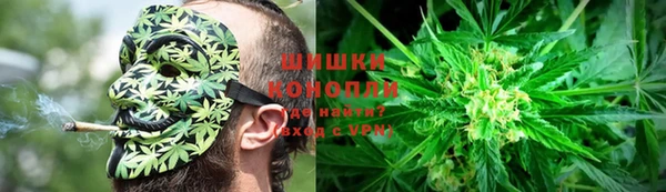 спиды Алзамай