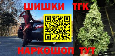 молекула духа Донской
