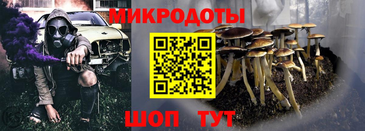 Псилоцибиновые грибы Psilocybine cubensis Нефтекумск