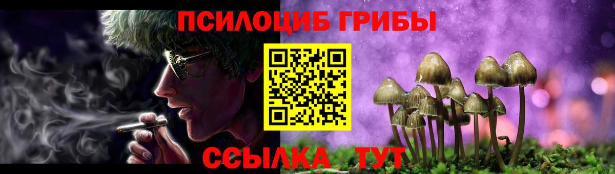 Галлюциногенные грибы GOLDEN TEACHER  Вход с VPN  Нефтекумск 