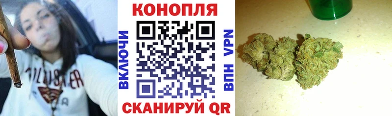 Каннабис семена  Нефтекумск 